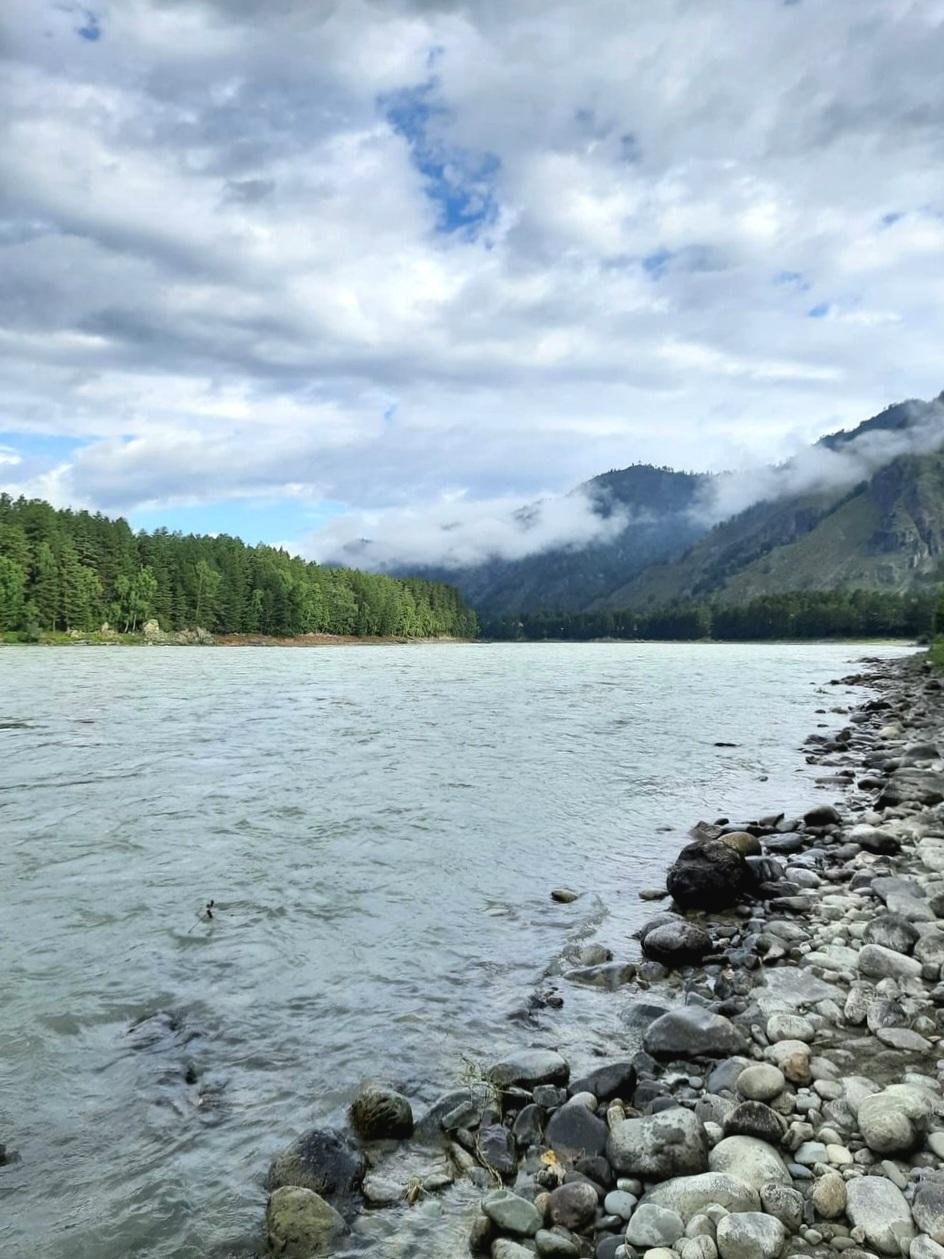 Феникс - фото 16