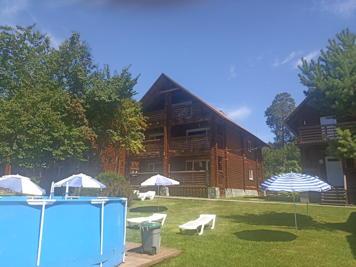 Феникс - фото 18