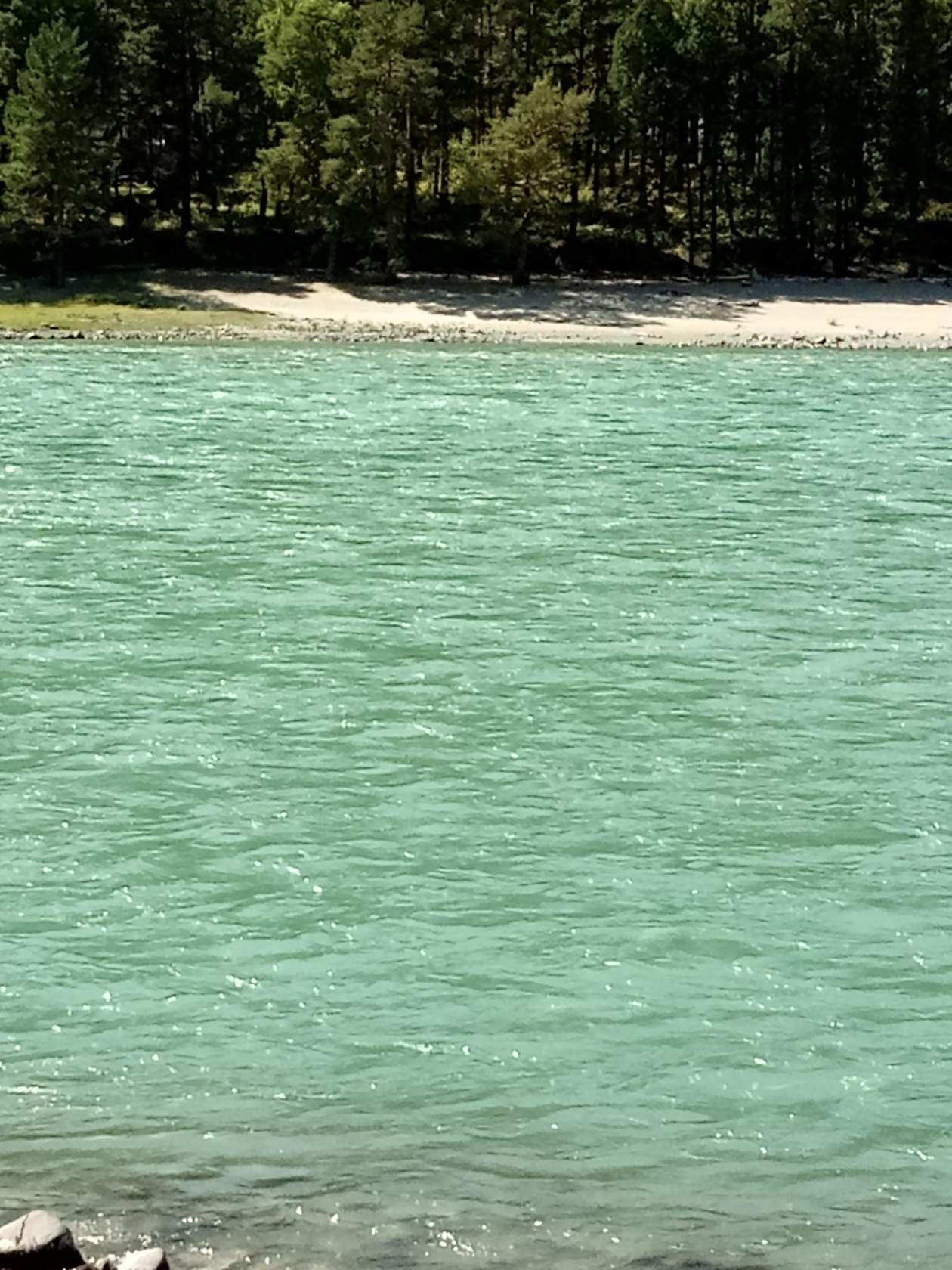 Феникс - фото 19