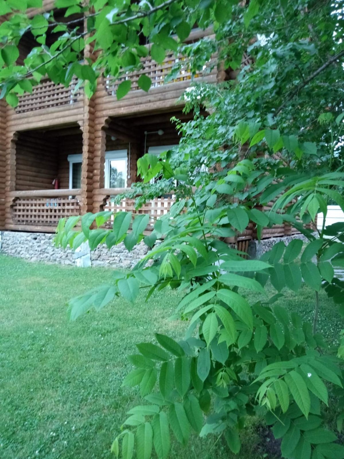 Феникс - фото 20