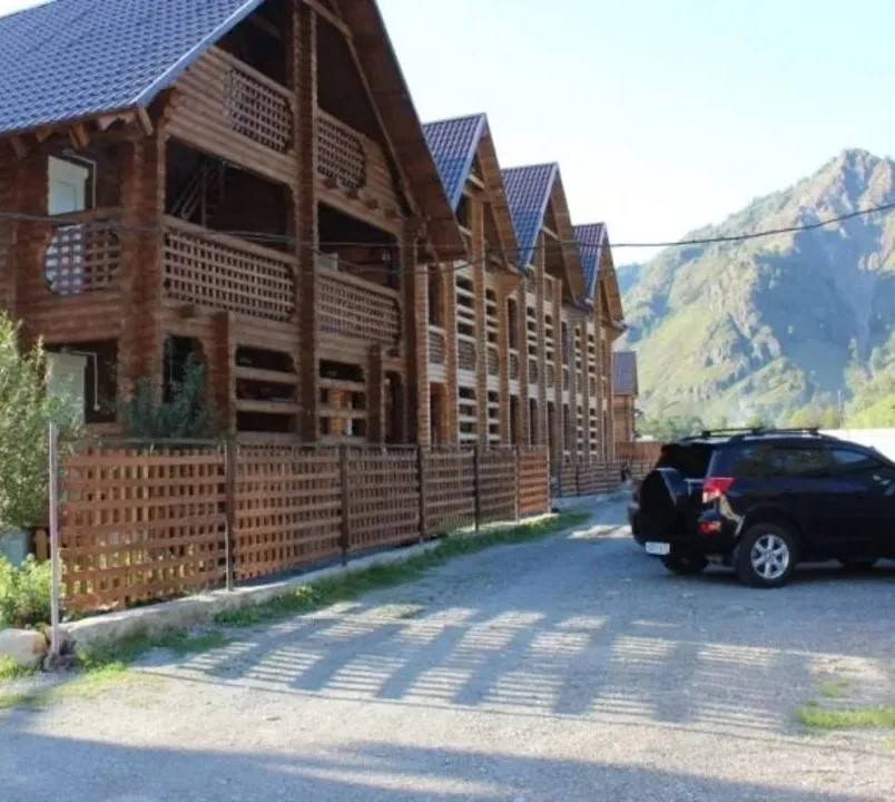 Феникс - фото 21