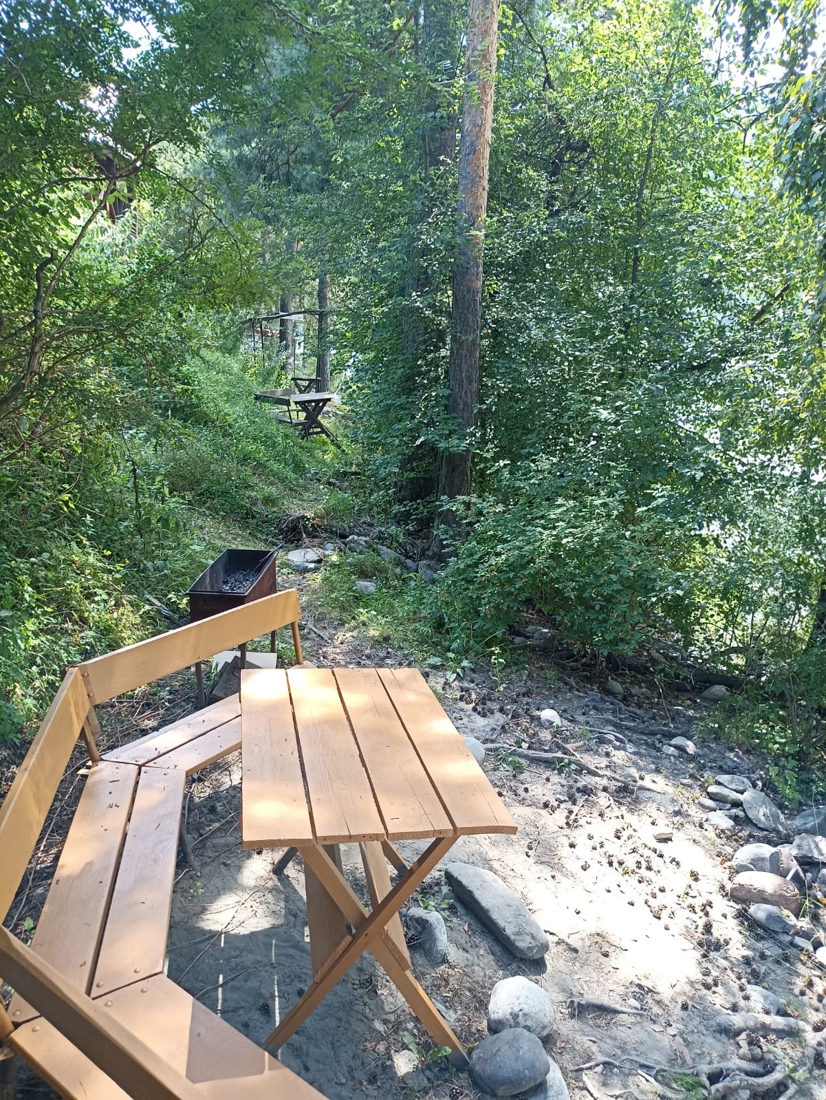 Феникс - фото 22