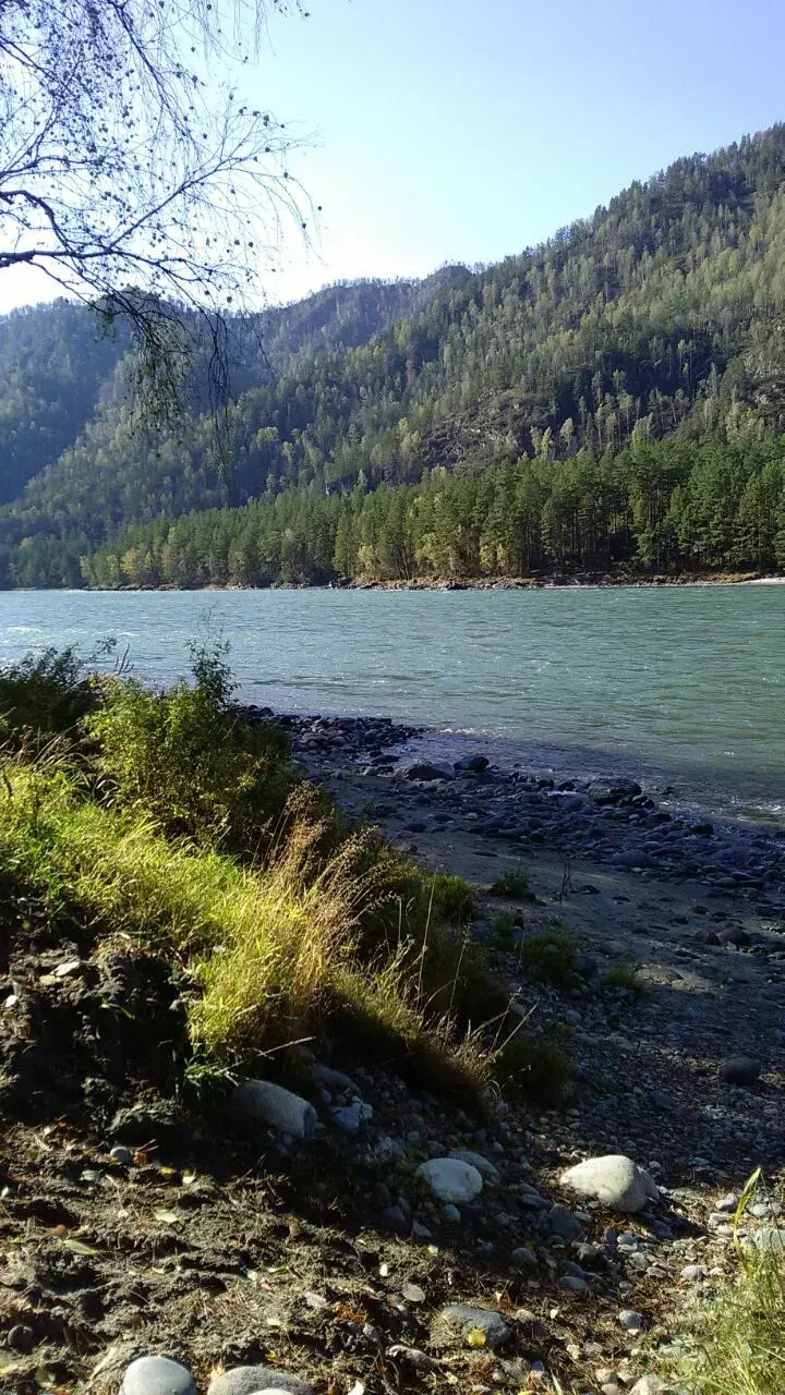 Феникс - фото 24