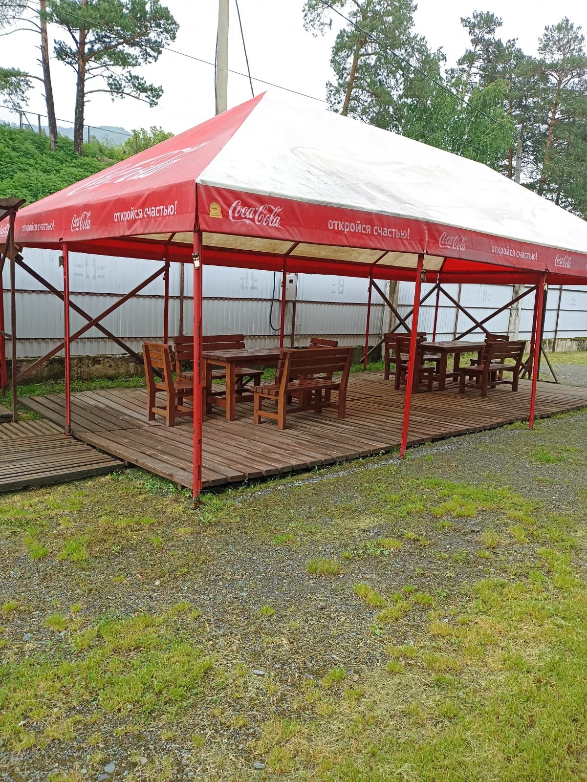 Феникс - фото 25