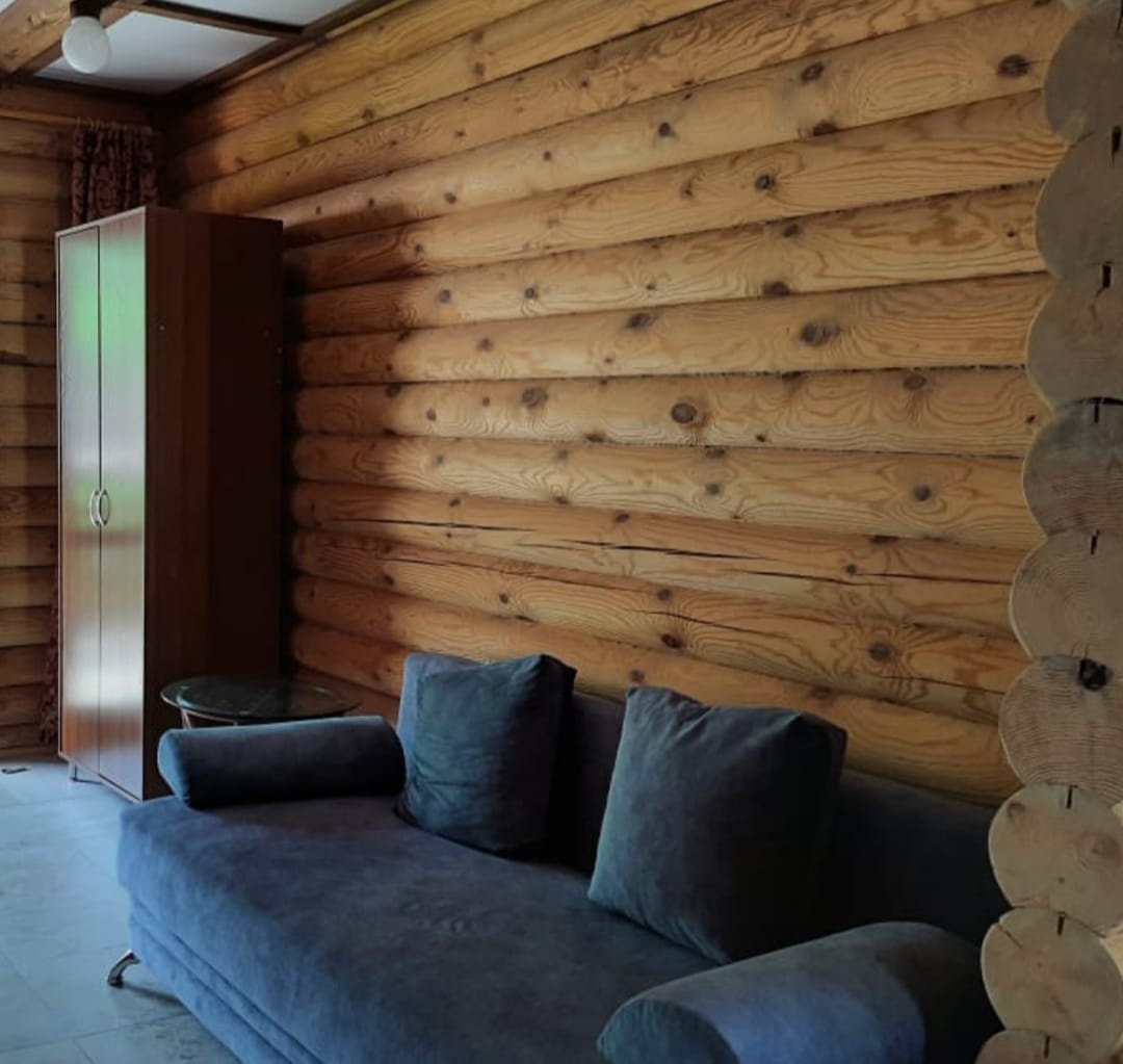 Феникс - фото 26