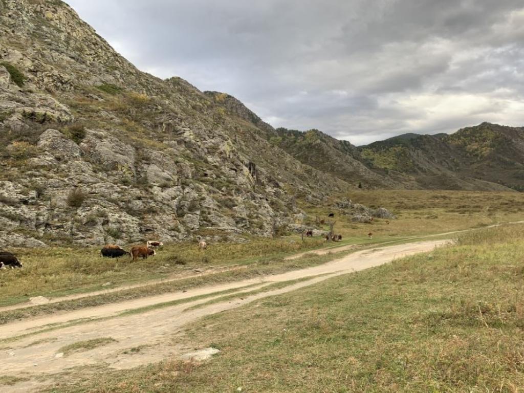 Петроглифы грота Куюс - фото 5