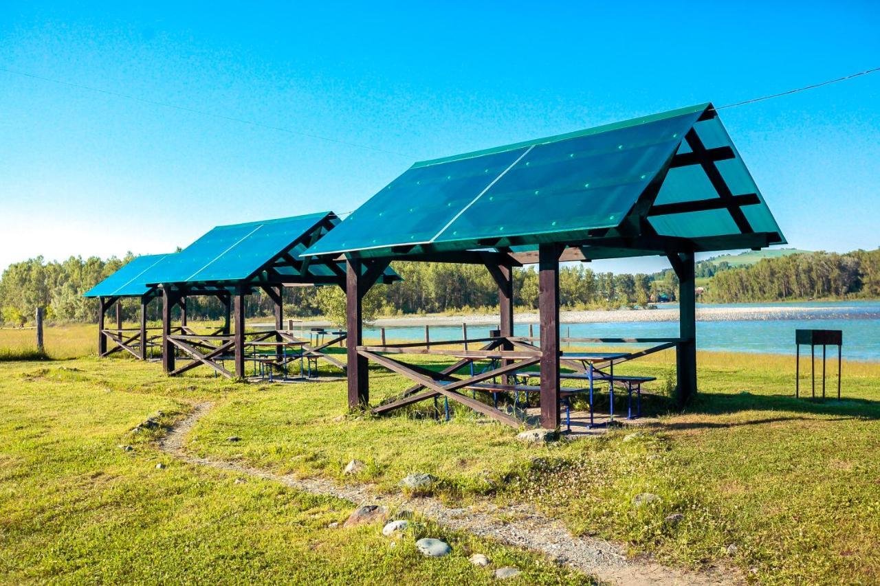 Олимп - фото 2