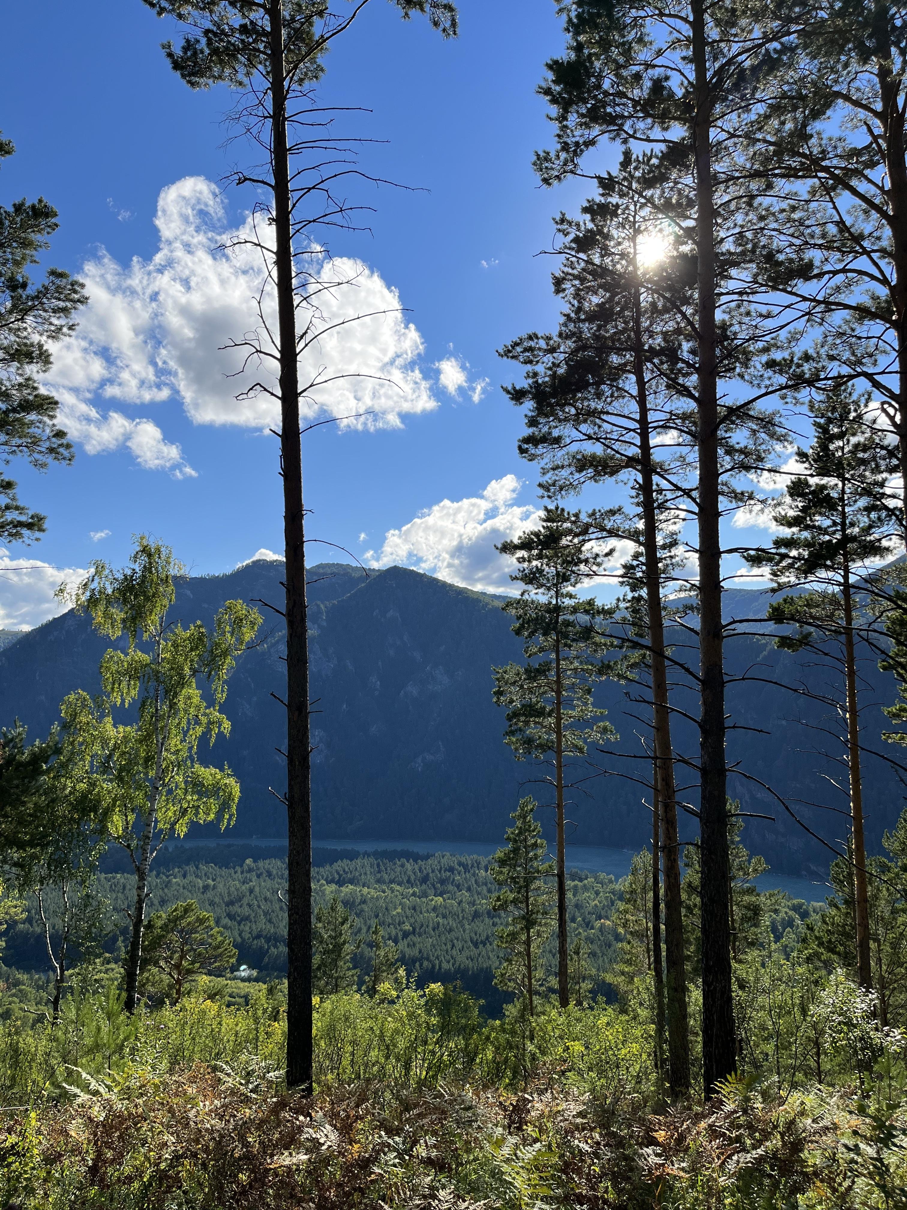 Виллар - фото 9