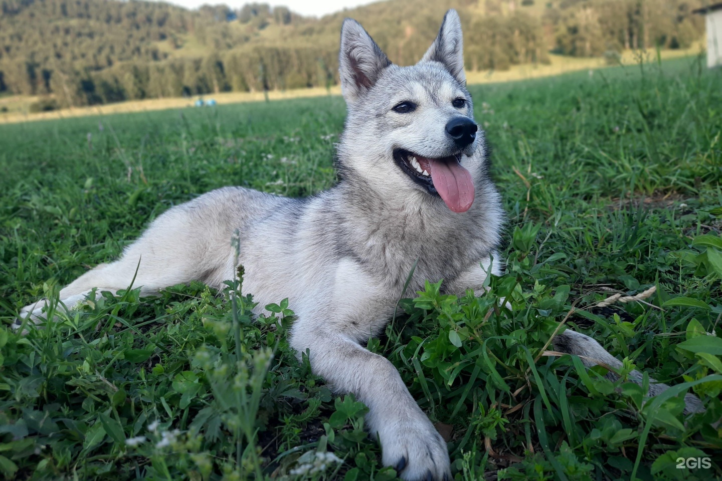 Алтайское кочевье - фото 25