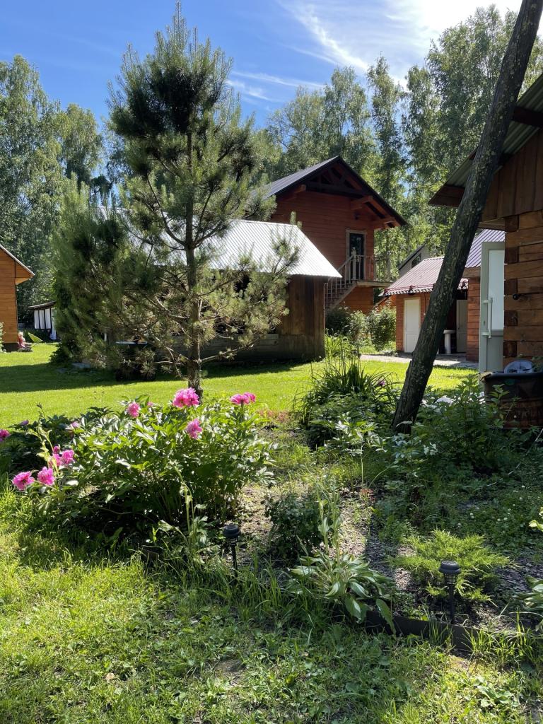 Алёнушка - фото 5