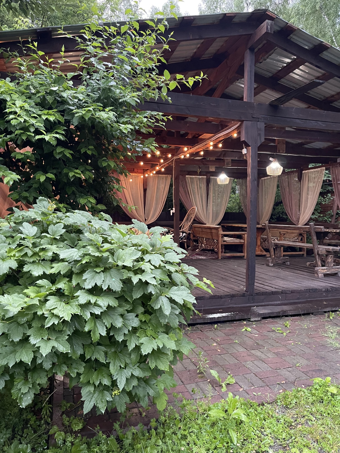 Алёнушка - фото 25