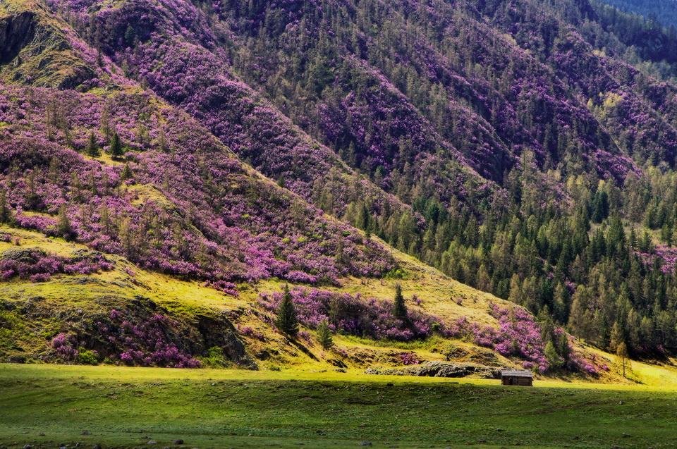 4 сезона - фото 23