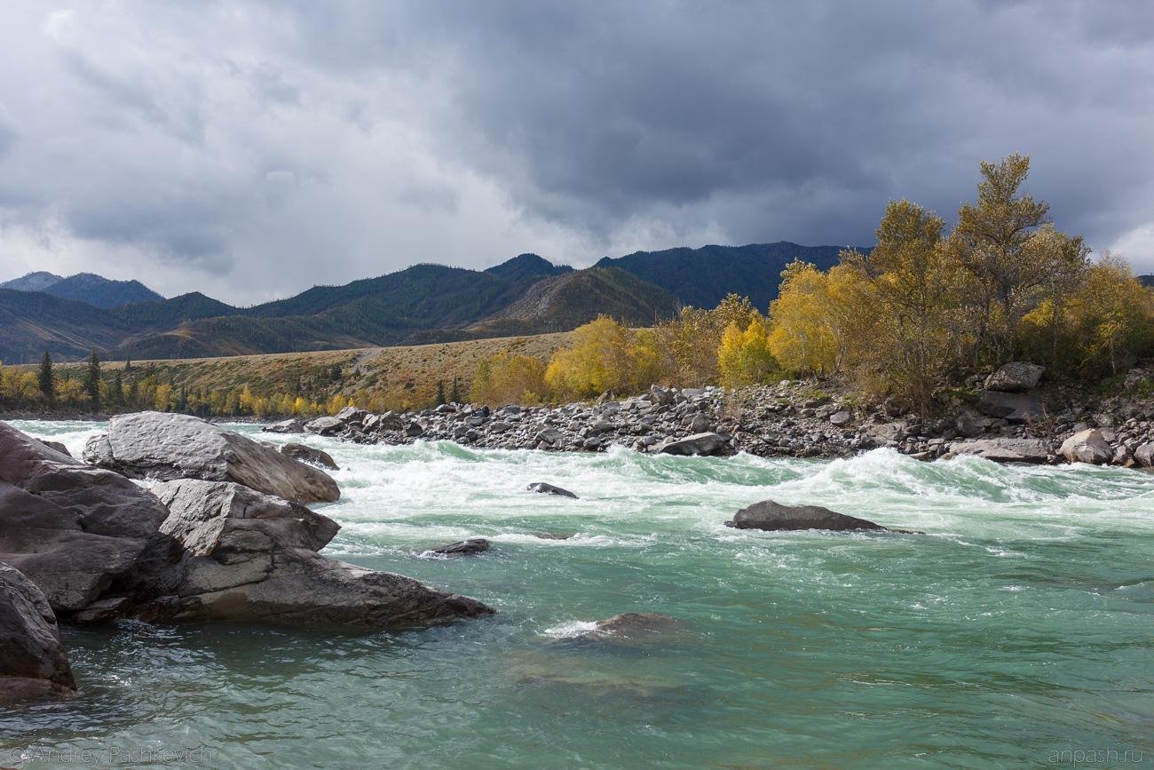 4 сезона - фото 29