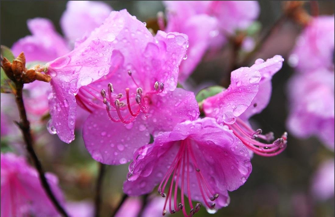 4 сезона - фото 32