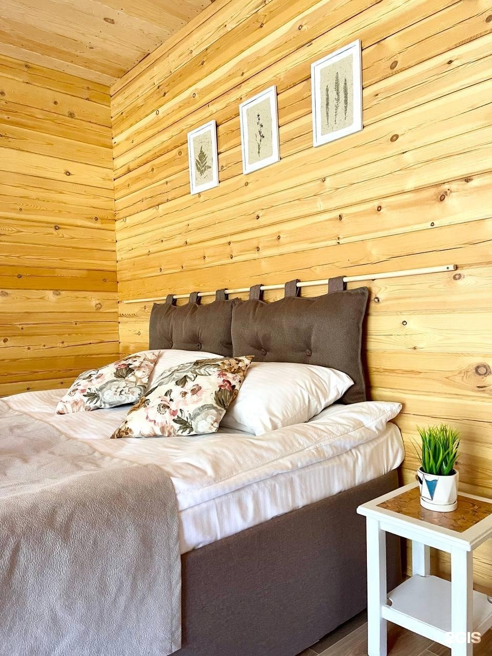 Атмосфера Алтая - фото 46