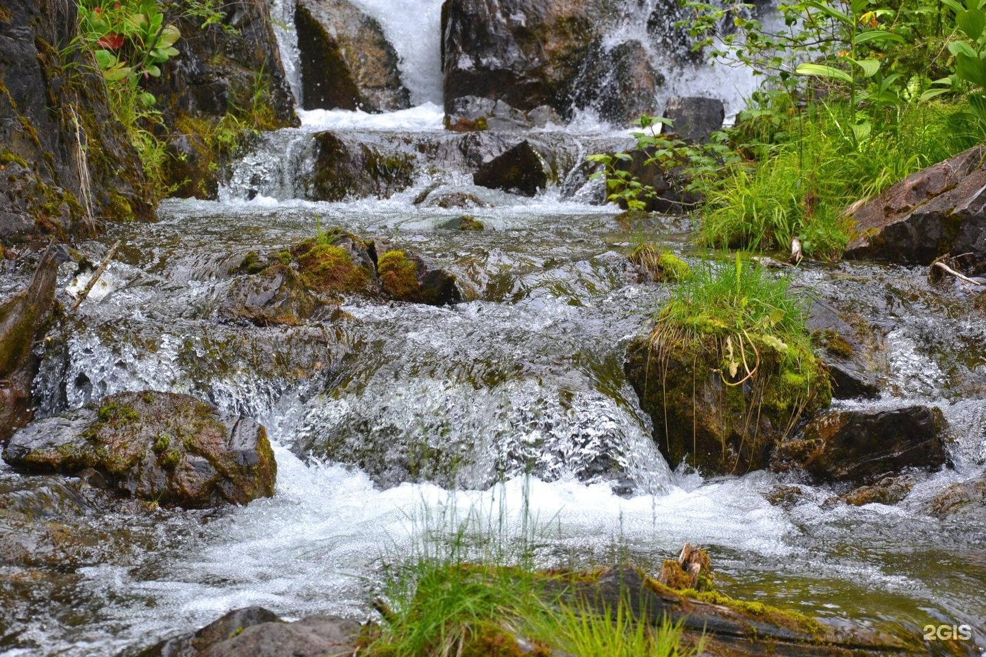 Атмосфера Алтая - фото 58