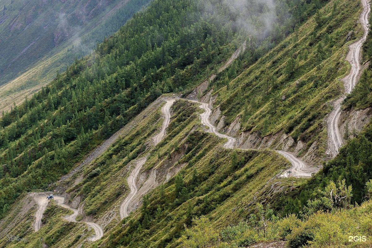 Атмосфера Алтая - фото 83