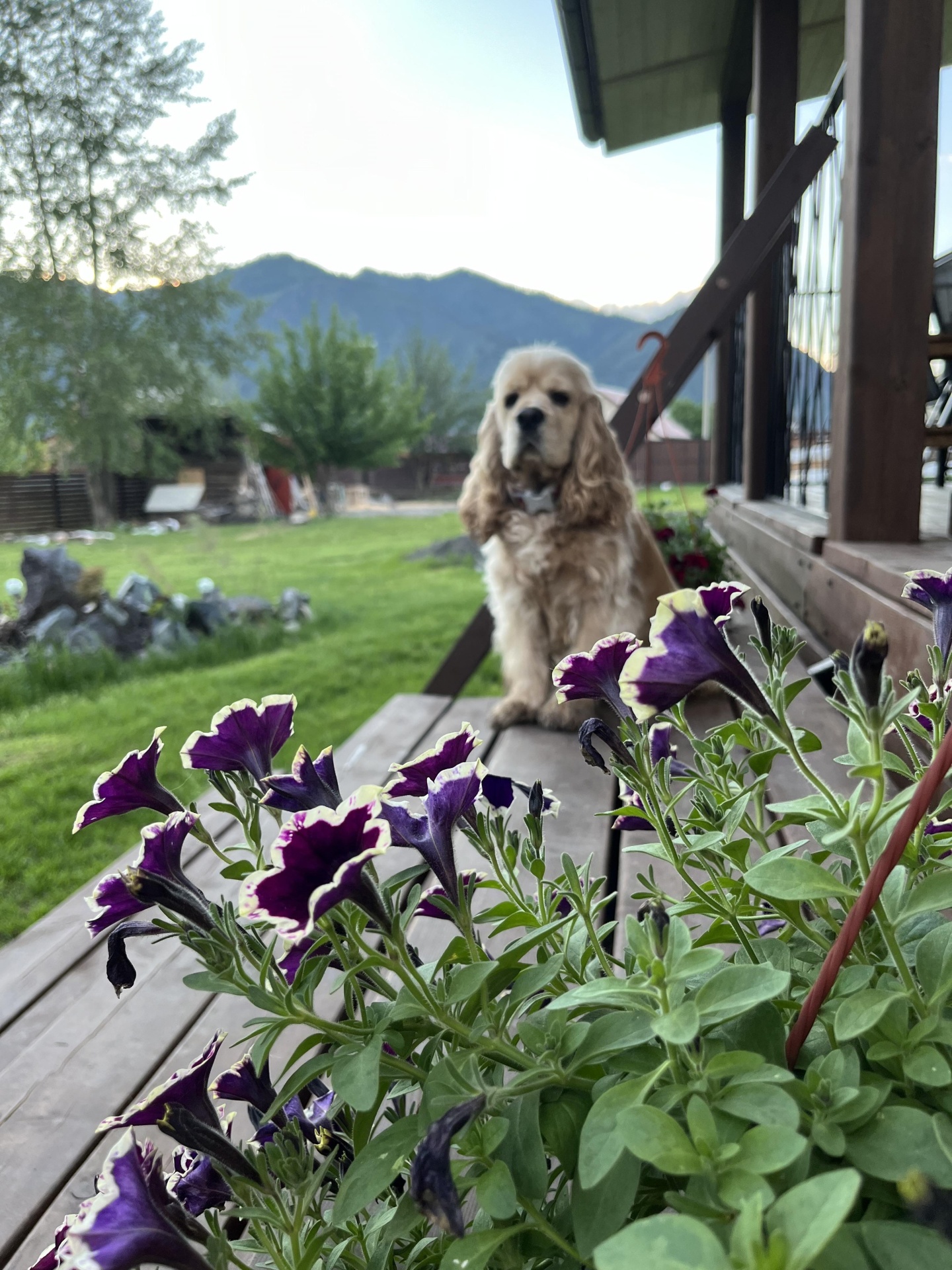 Оберег - фото 39