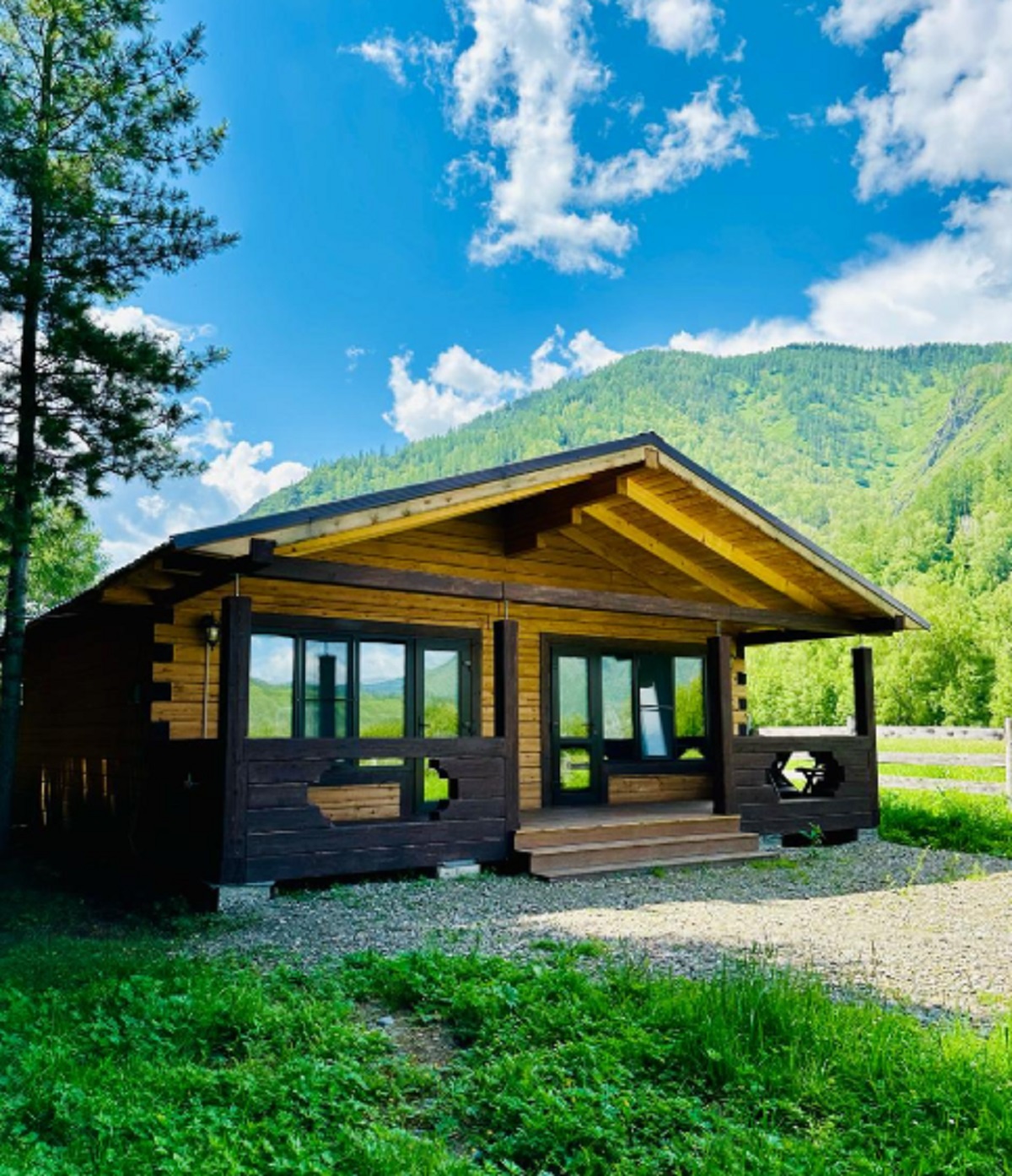 Кедровая роща - фото 4