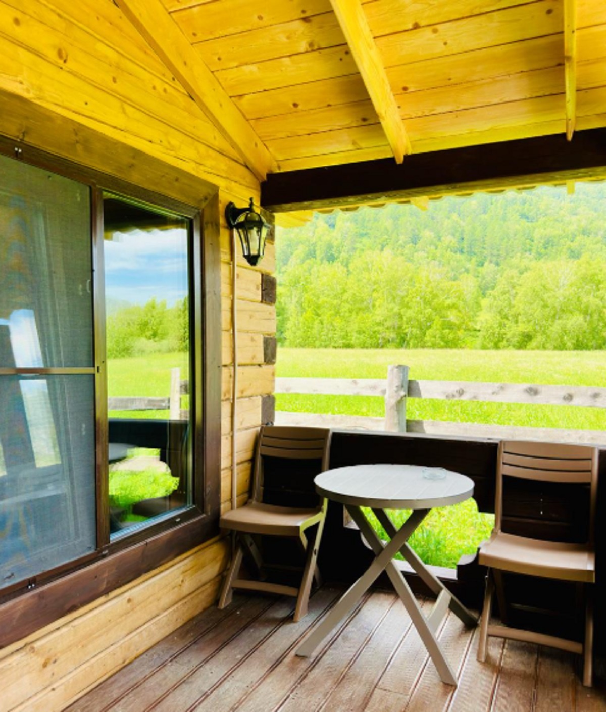 Кедровая роща - фото 5