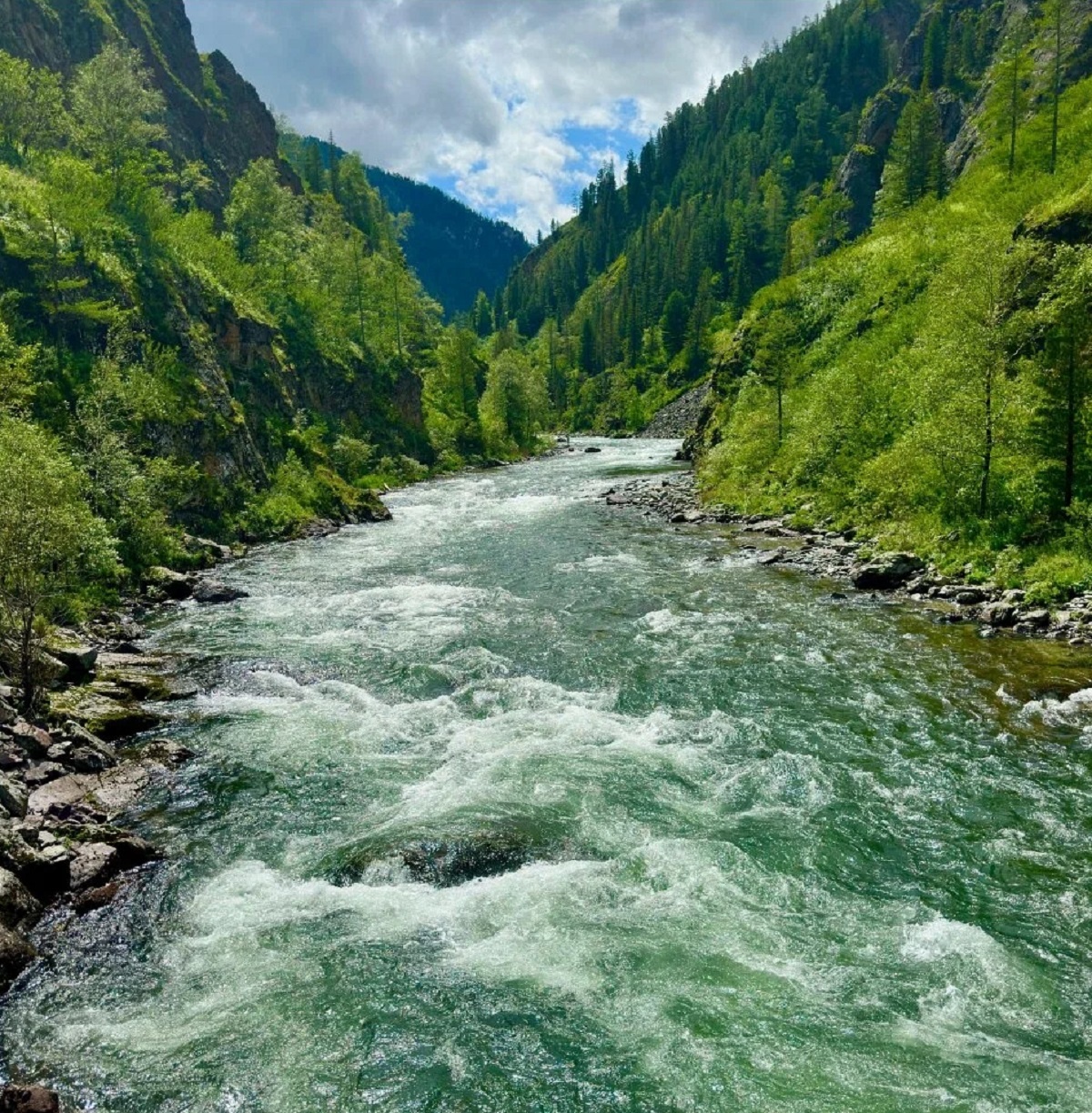 Кедровая роща - фото 6