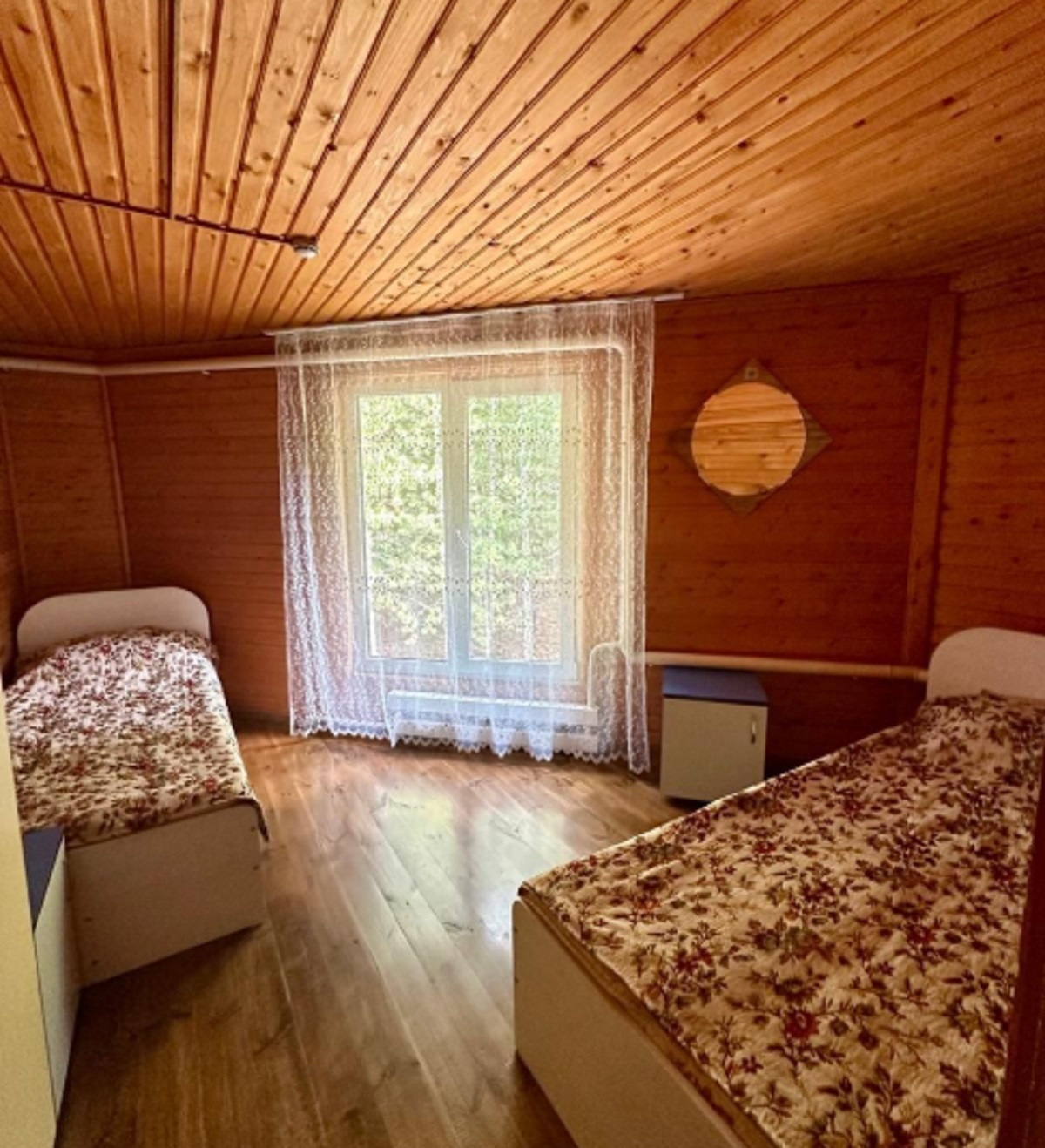 Кедровая роща - фото 8