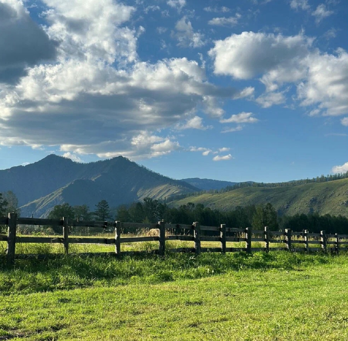 Кедровая роща - фото 9