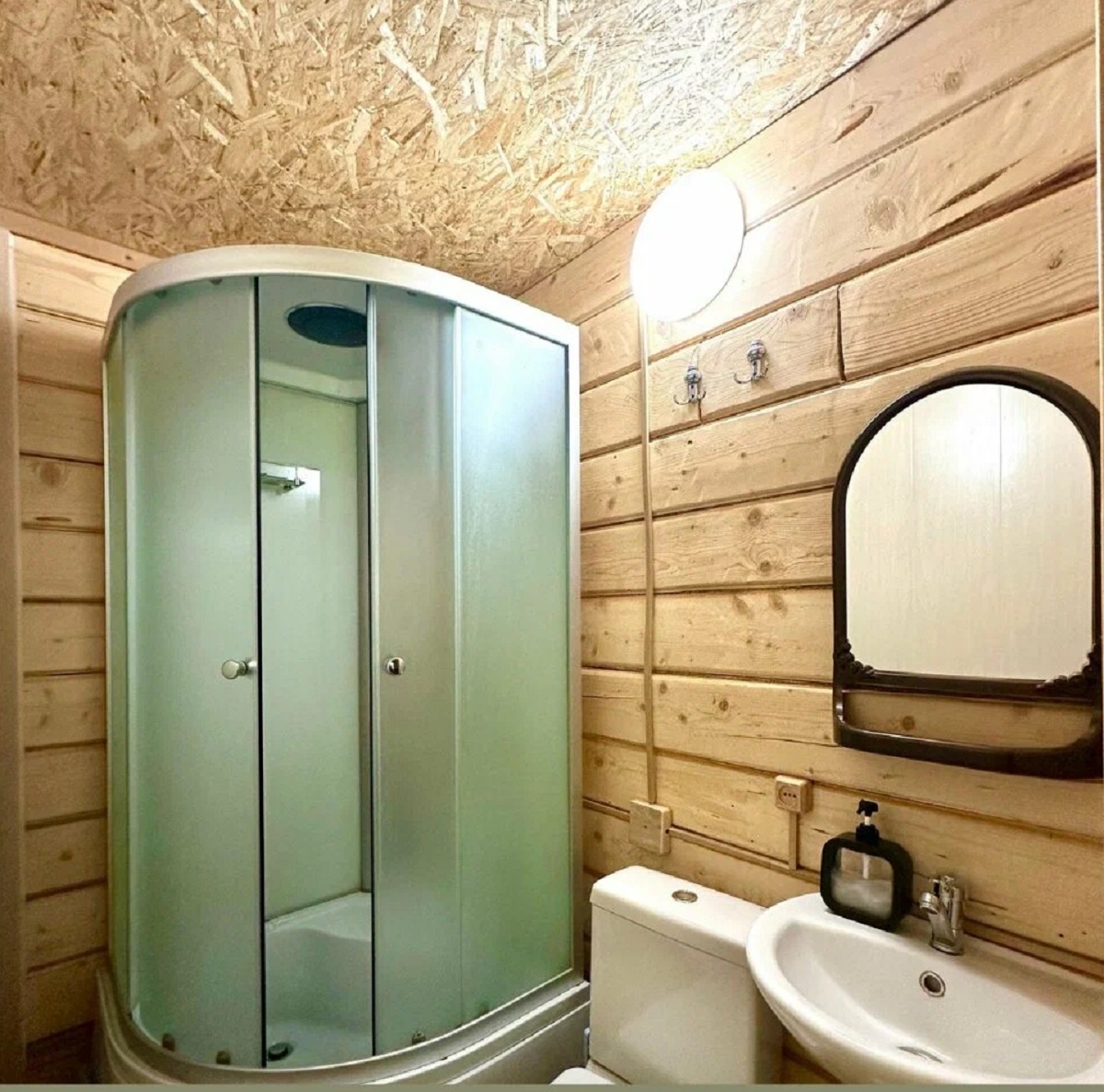 Кедровая роща - фото 17