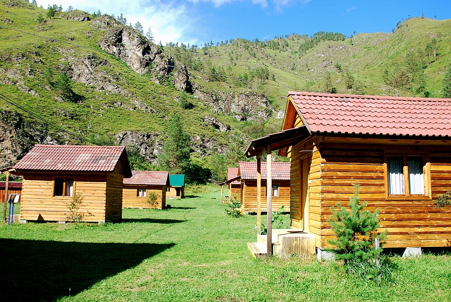 Кедровая роща - фото 22