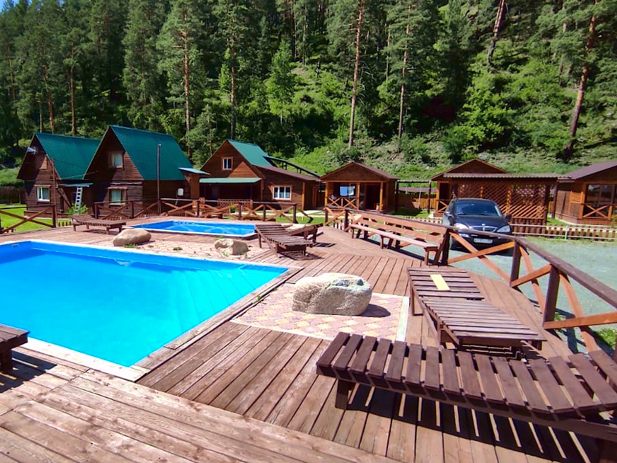 Кедровая роща - фото 27