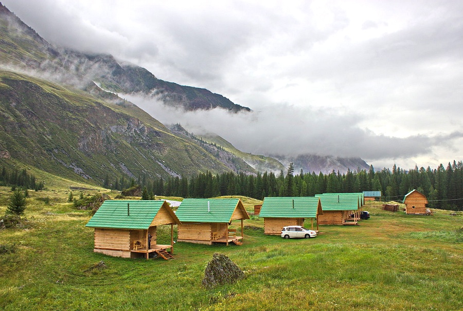 Кедровая роща - фото 28