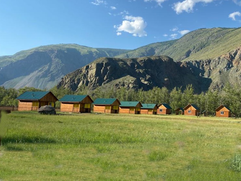 Кедровая роща - фото 29