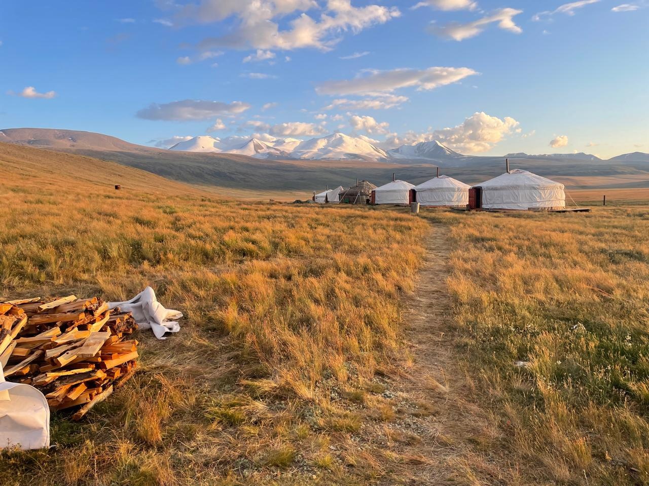 Кедровая роща - фото 30