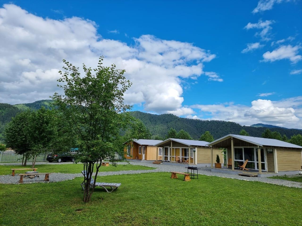 Кедровая роща - фото 32