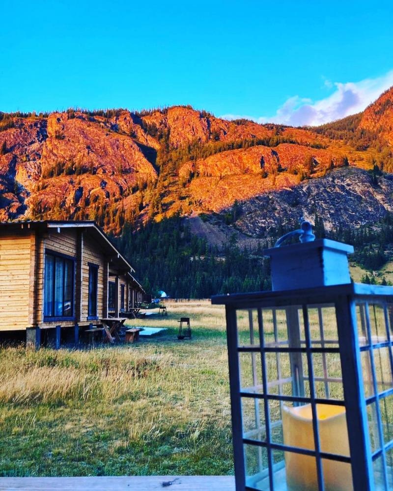 Кедровая роща - фото 40