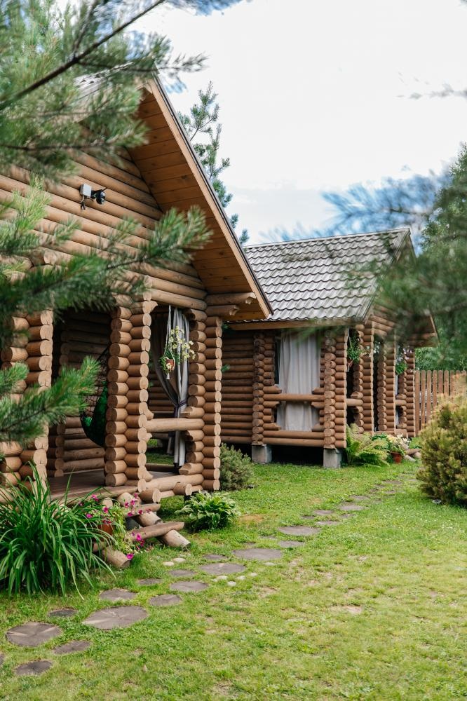 Кедровая роща - фото 45