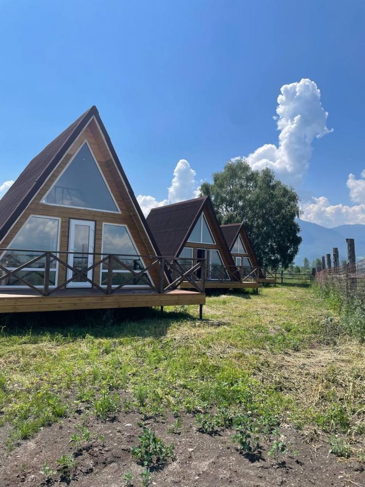 Кедровая роща - фото 46