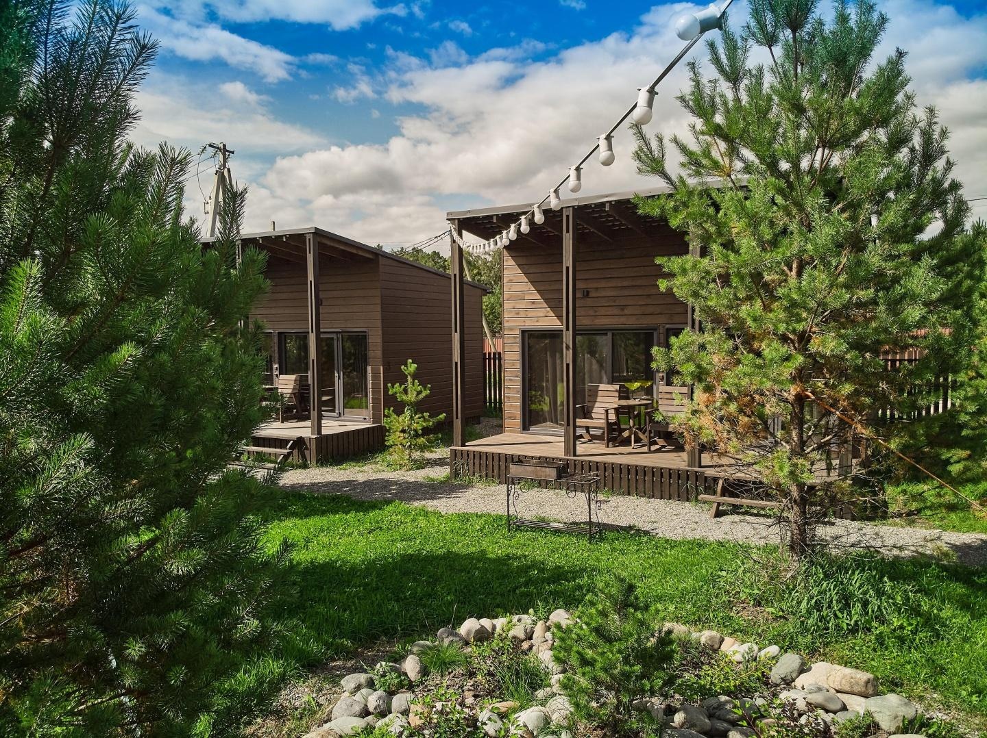 Кедровая роща - фото 49