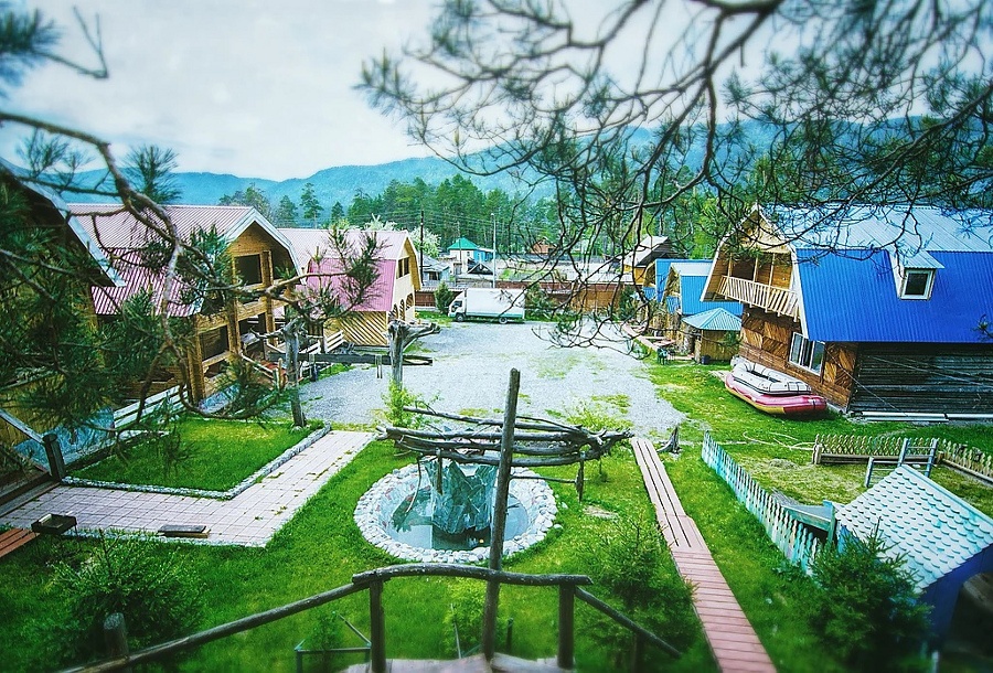 Кедровая роща - фото 50