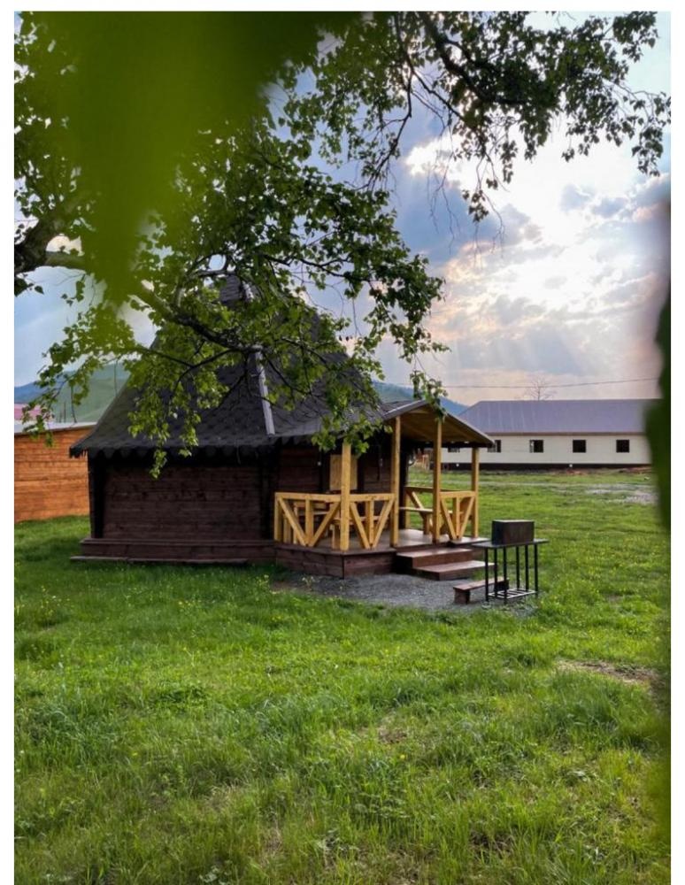 Кедровая роща - фото 53