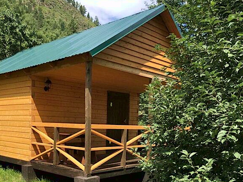 Кедровая роща - фото 56