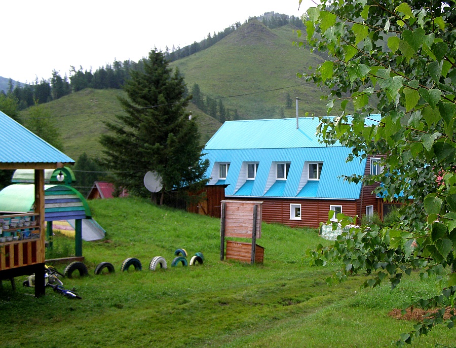 Кедровая роща - фото 60