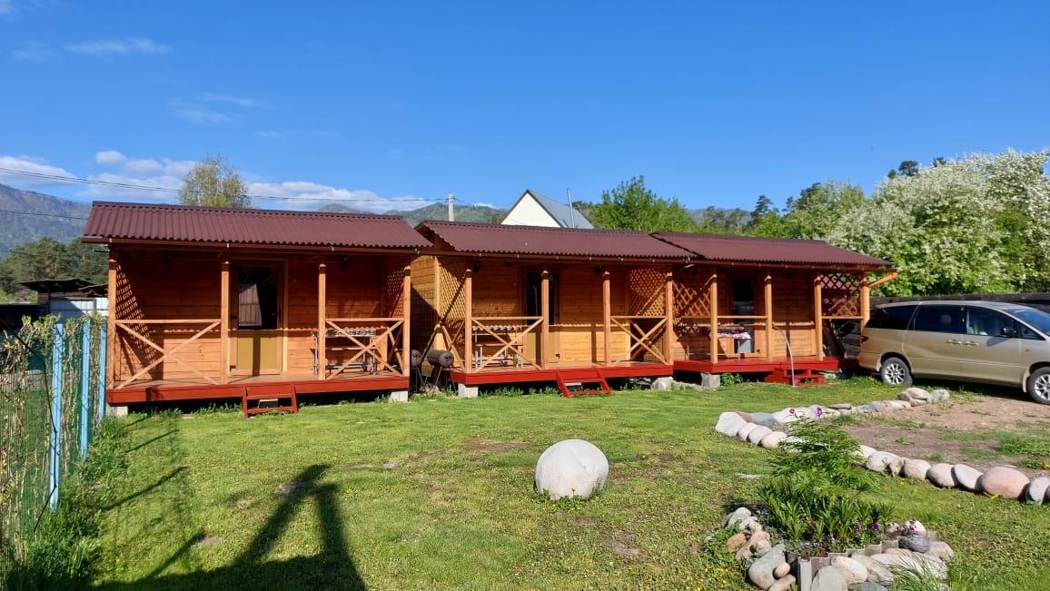 Кедровая роща - фото 65