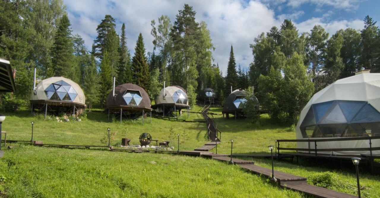 Кедровая роща - фото 67