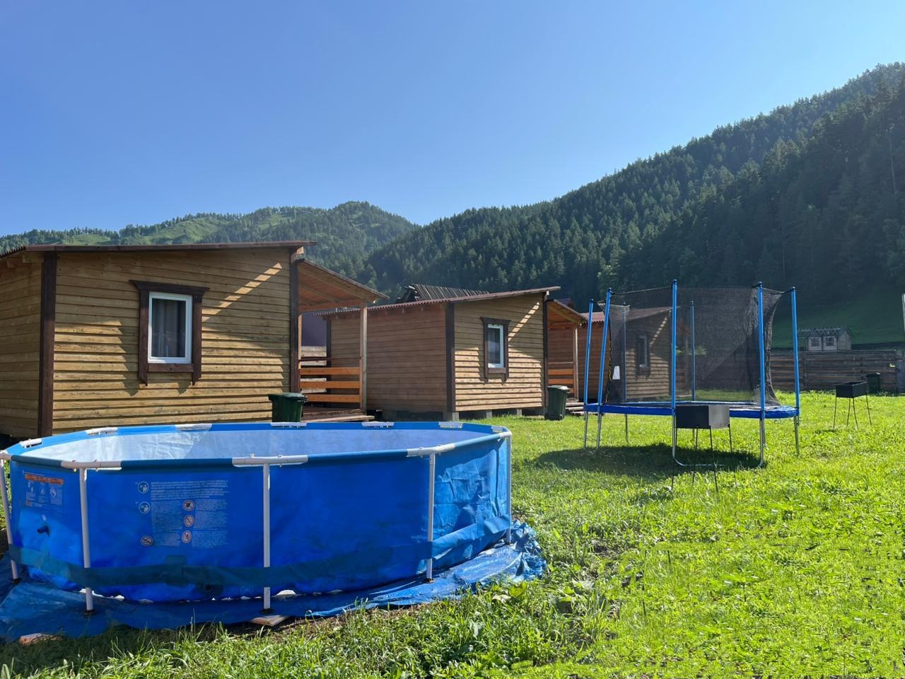 Кедровая роща - фото 69