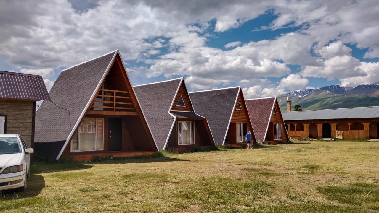 Кедровая роща - фото 70