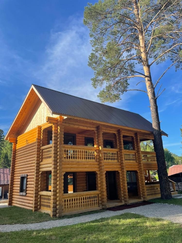 Кедровая роща - фото 71