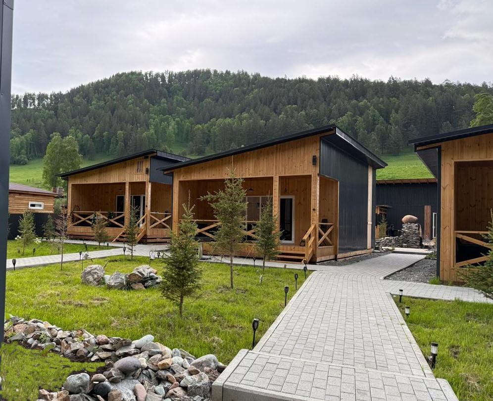 Кедровая роща - фото 72