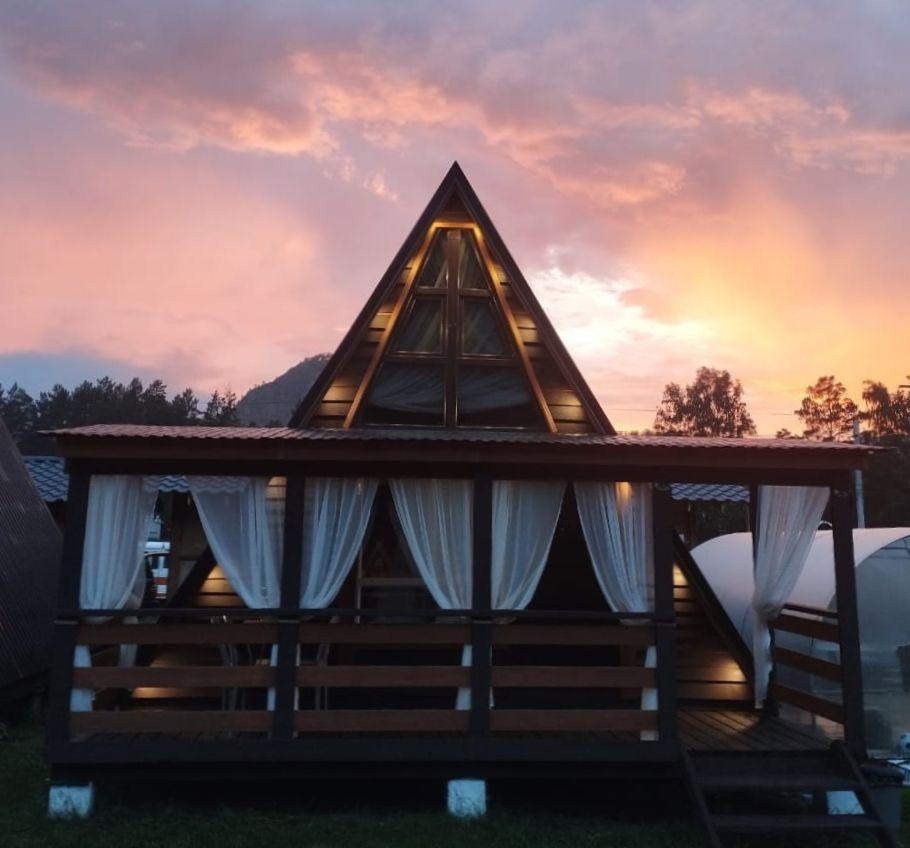 Кедровая роща - фото 73