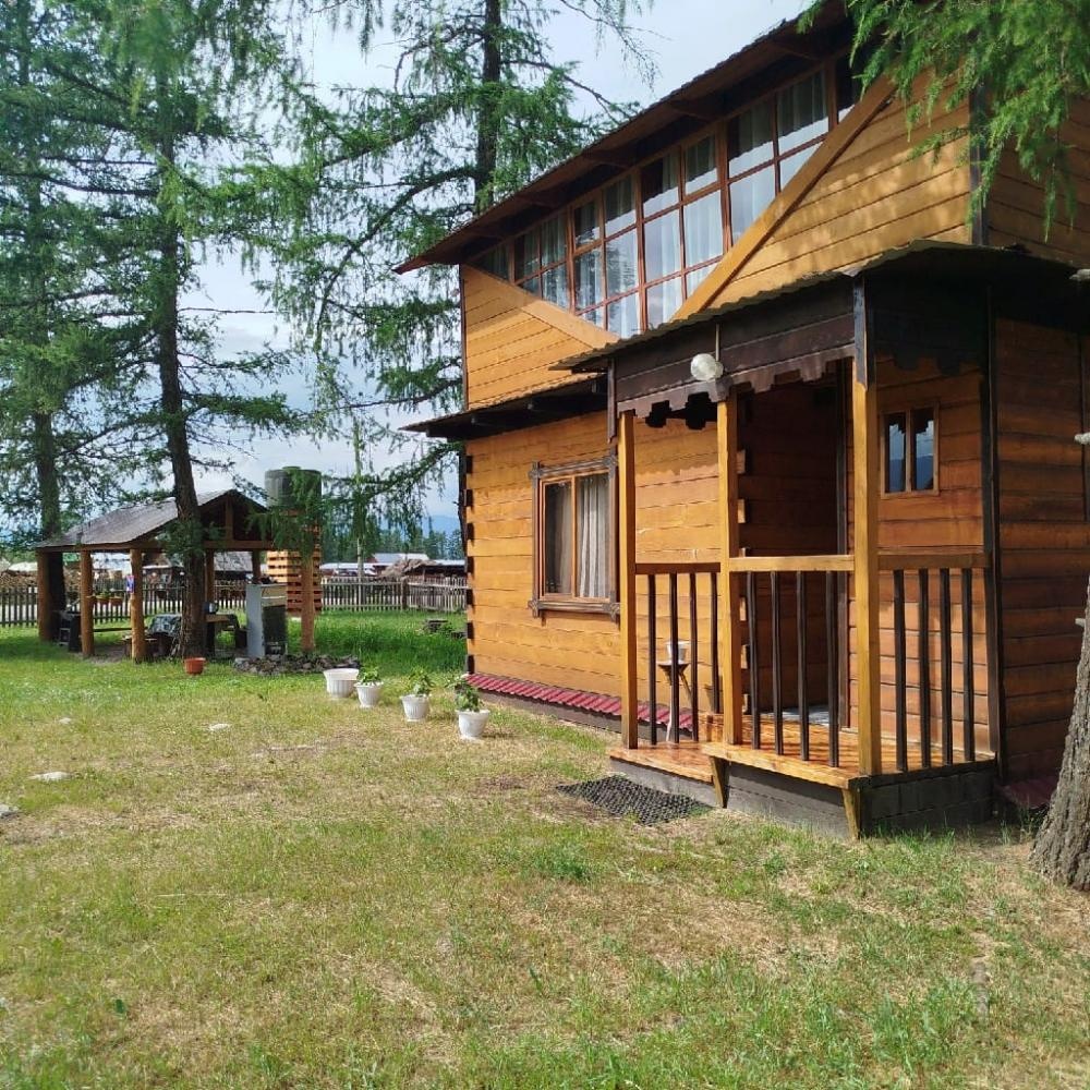 Кедровая роща - фото 74